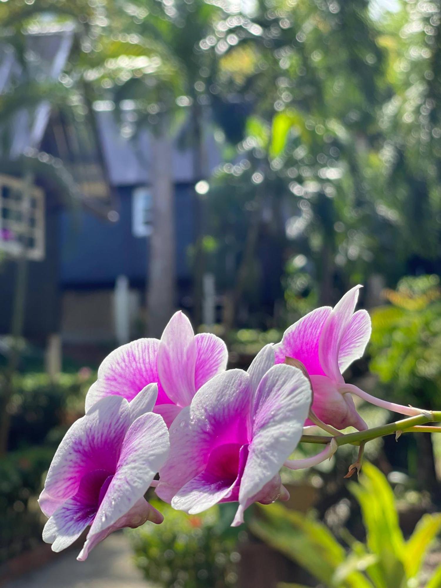 Vanara Bungalows Koh Chang Exterior photo